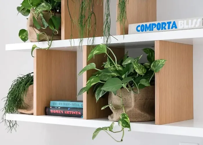 New Bright Design With Spacious Balcony